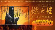 国产一区二区三区高清视频
